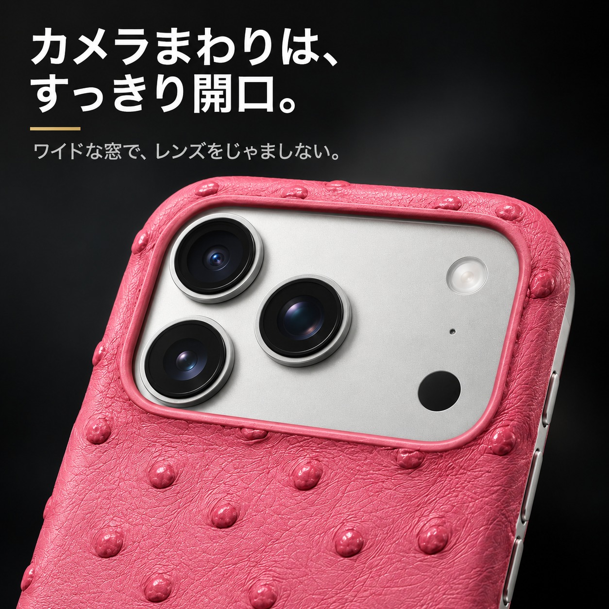 カメラまわりは、すっきり開口。