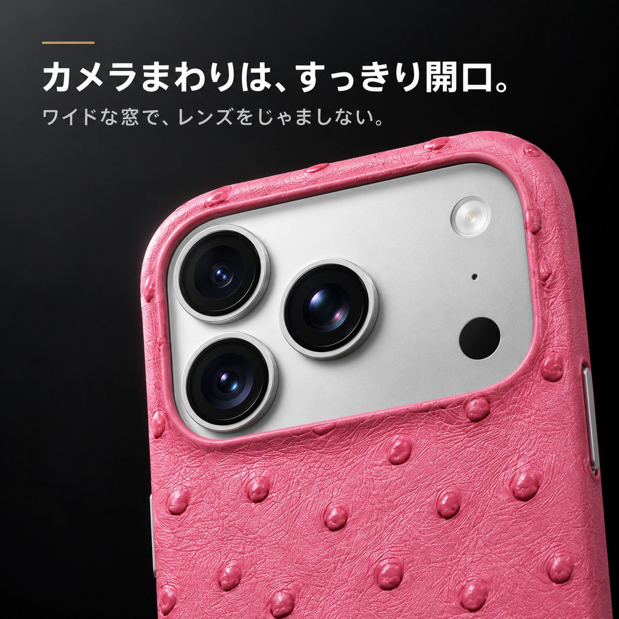 カメラまわりは、すっきり開口。