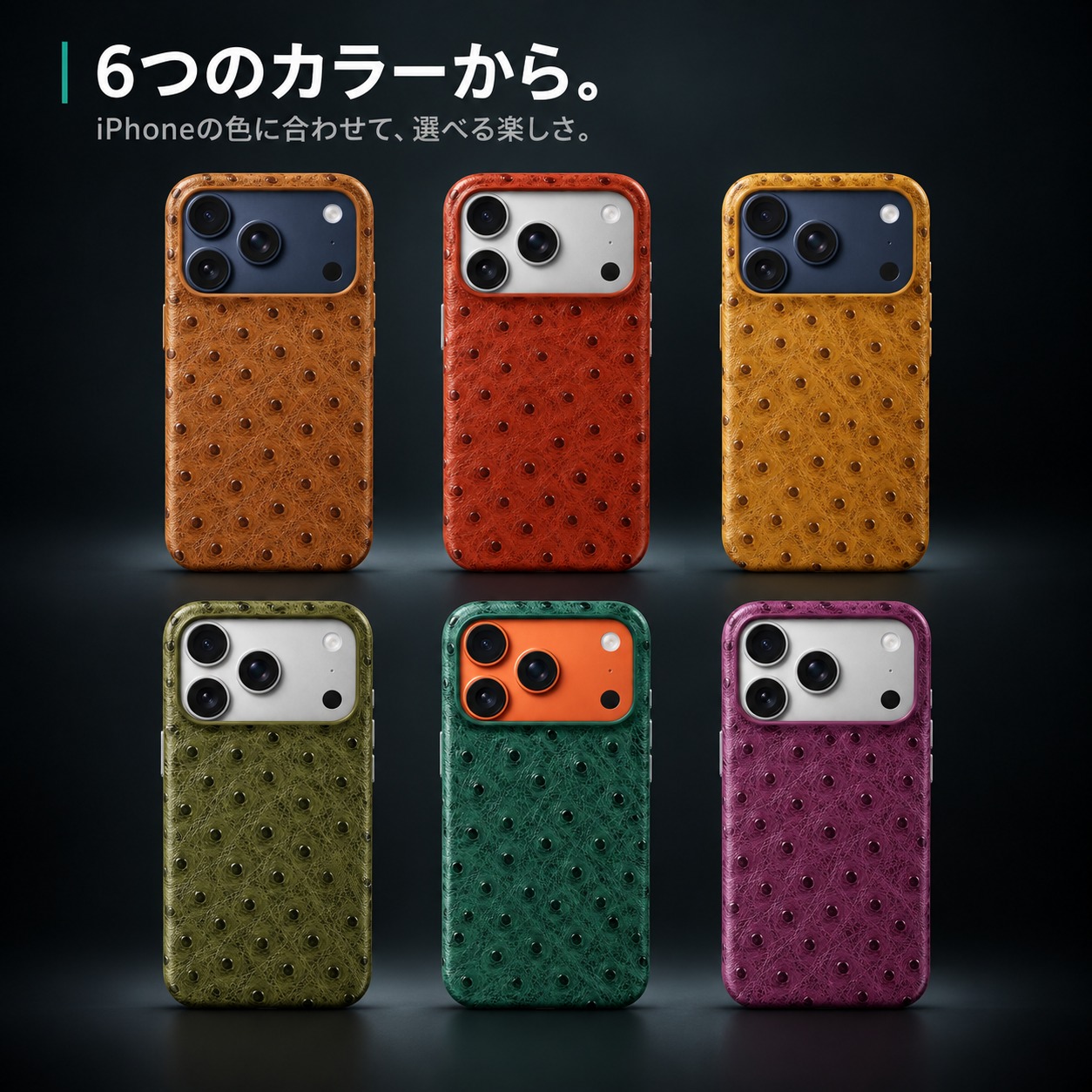 6つのカラーから。