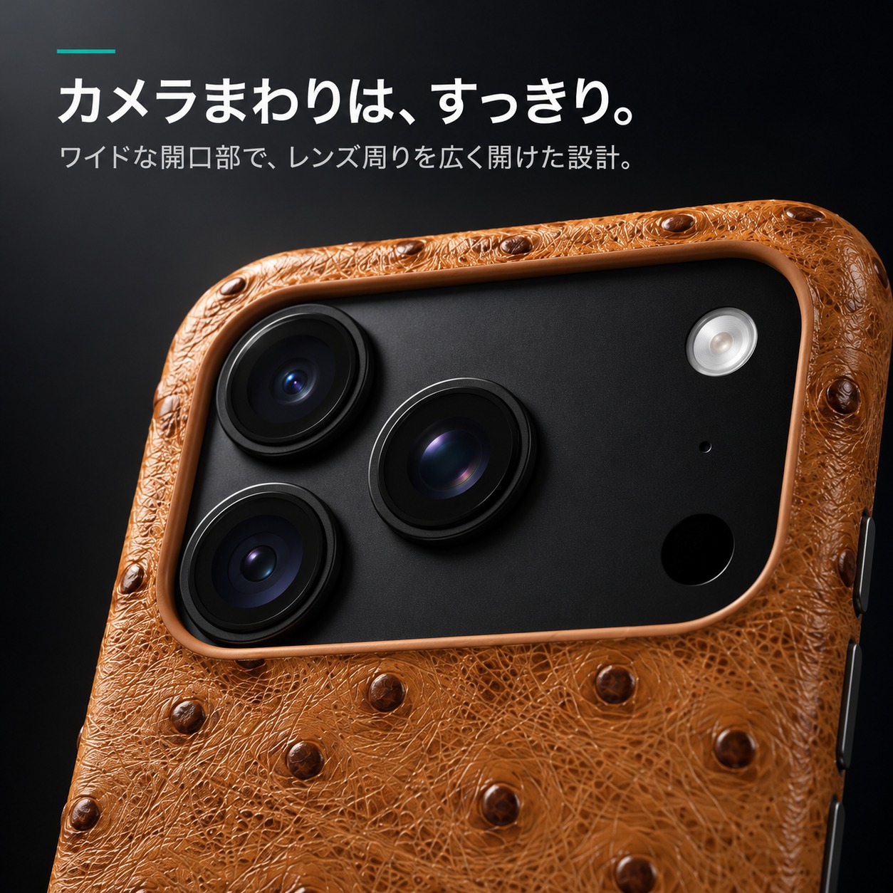 カメラまわりは、すっきり。