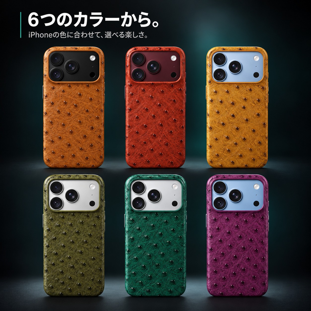 6つのカラーから。