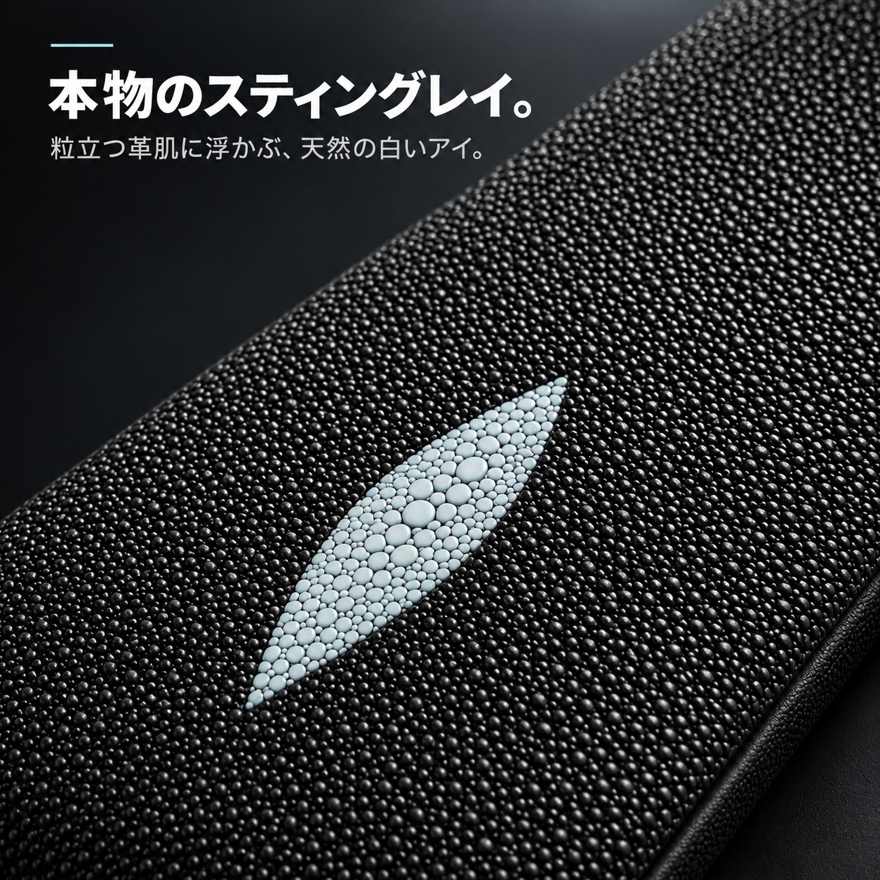 本物のスティングレイ。