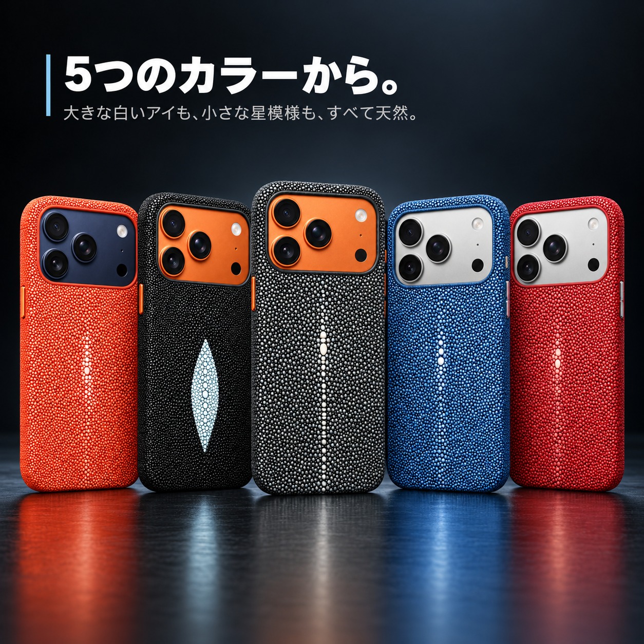 5つのカラーから。