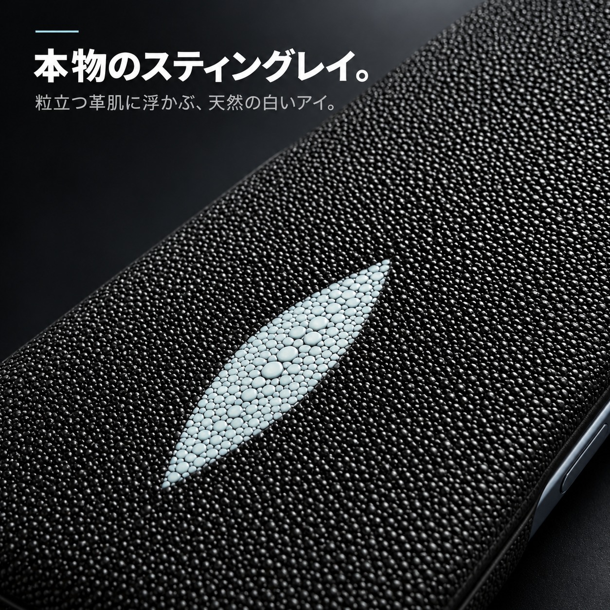 本物のスティングレイ。