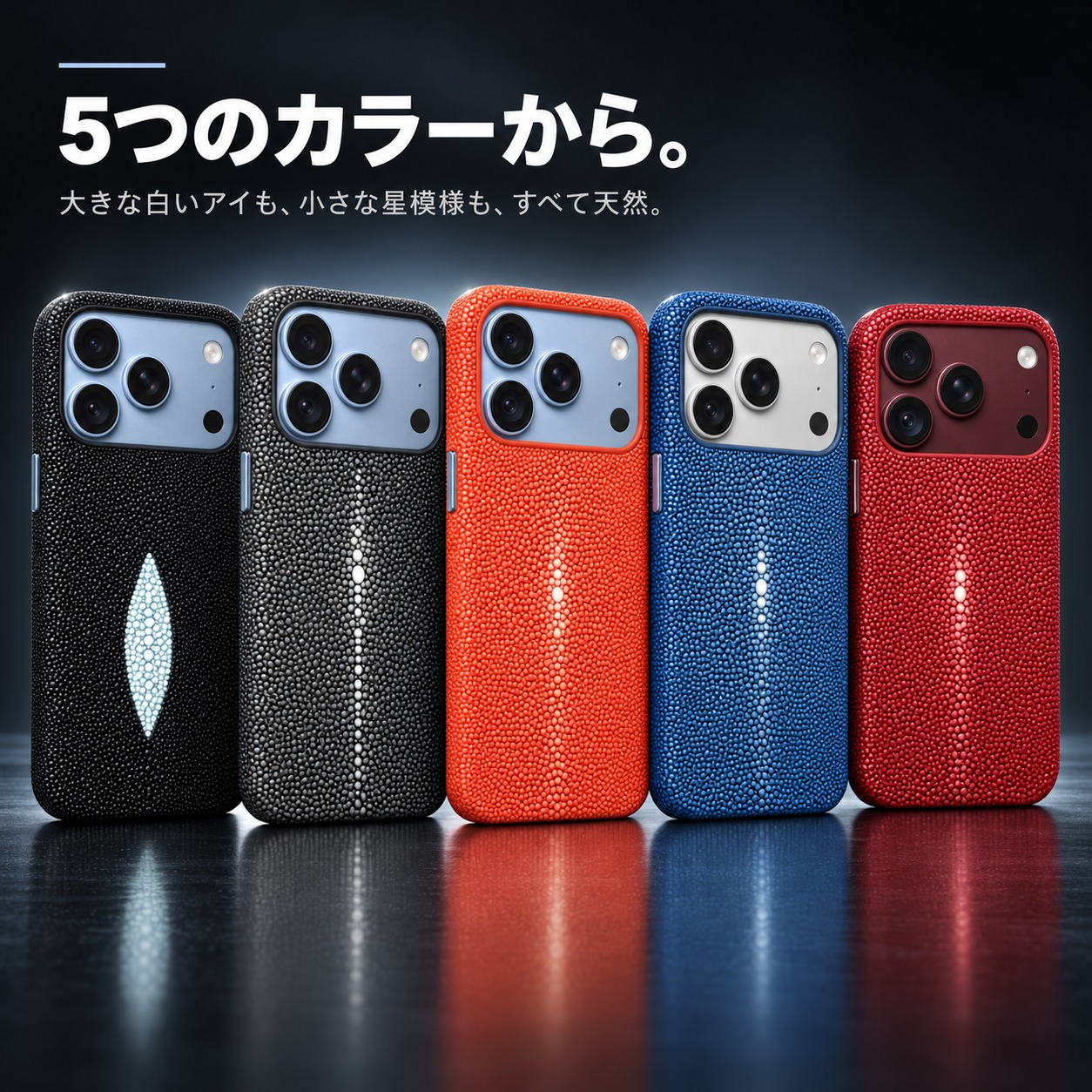 5つのカラーから。