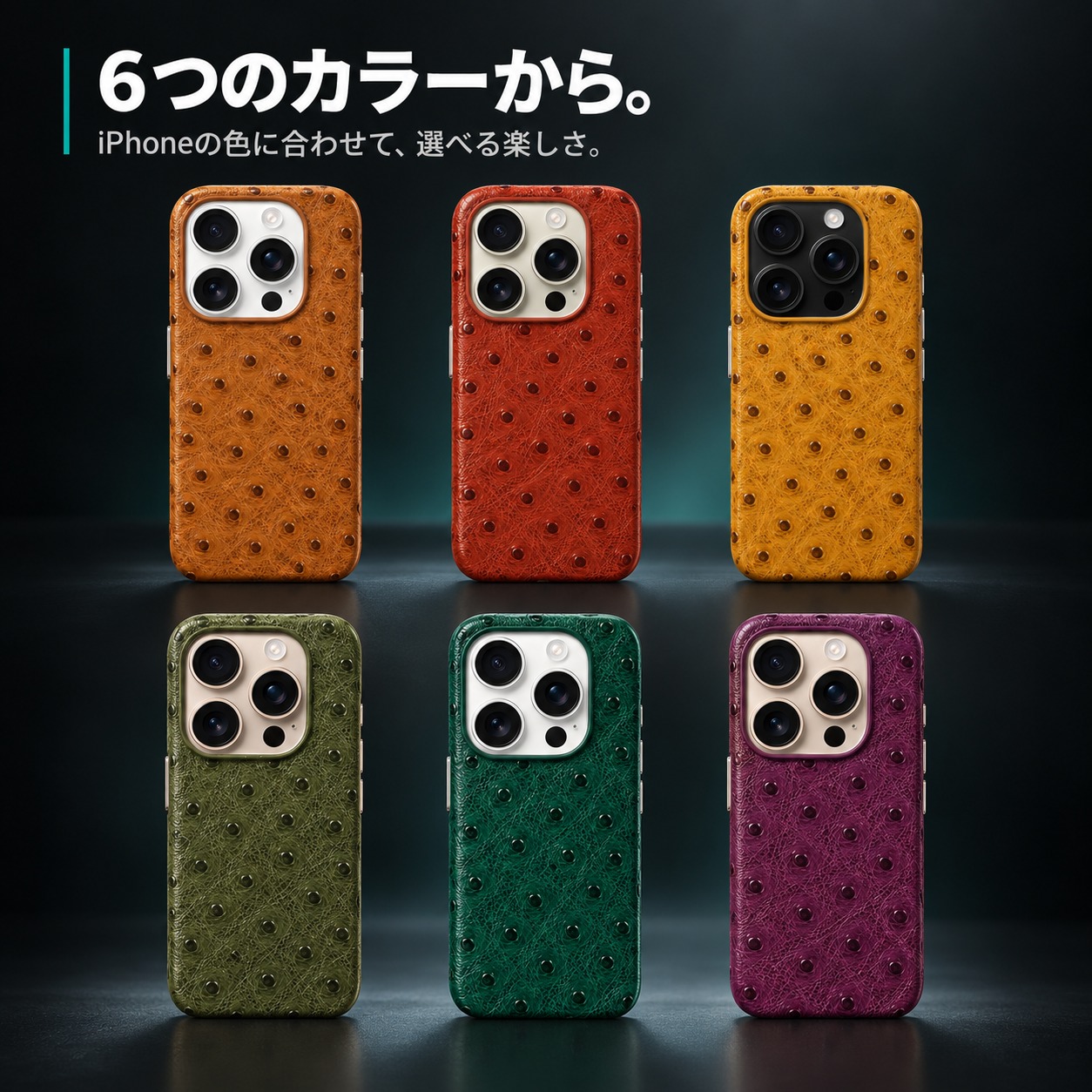 6つのカラーから。