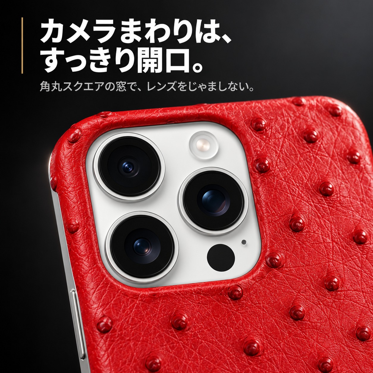 カメラまわりは、すっきり開口。ワイドなカメラ窓