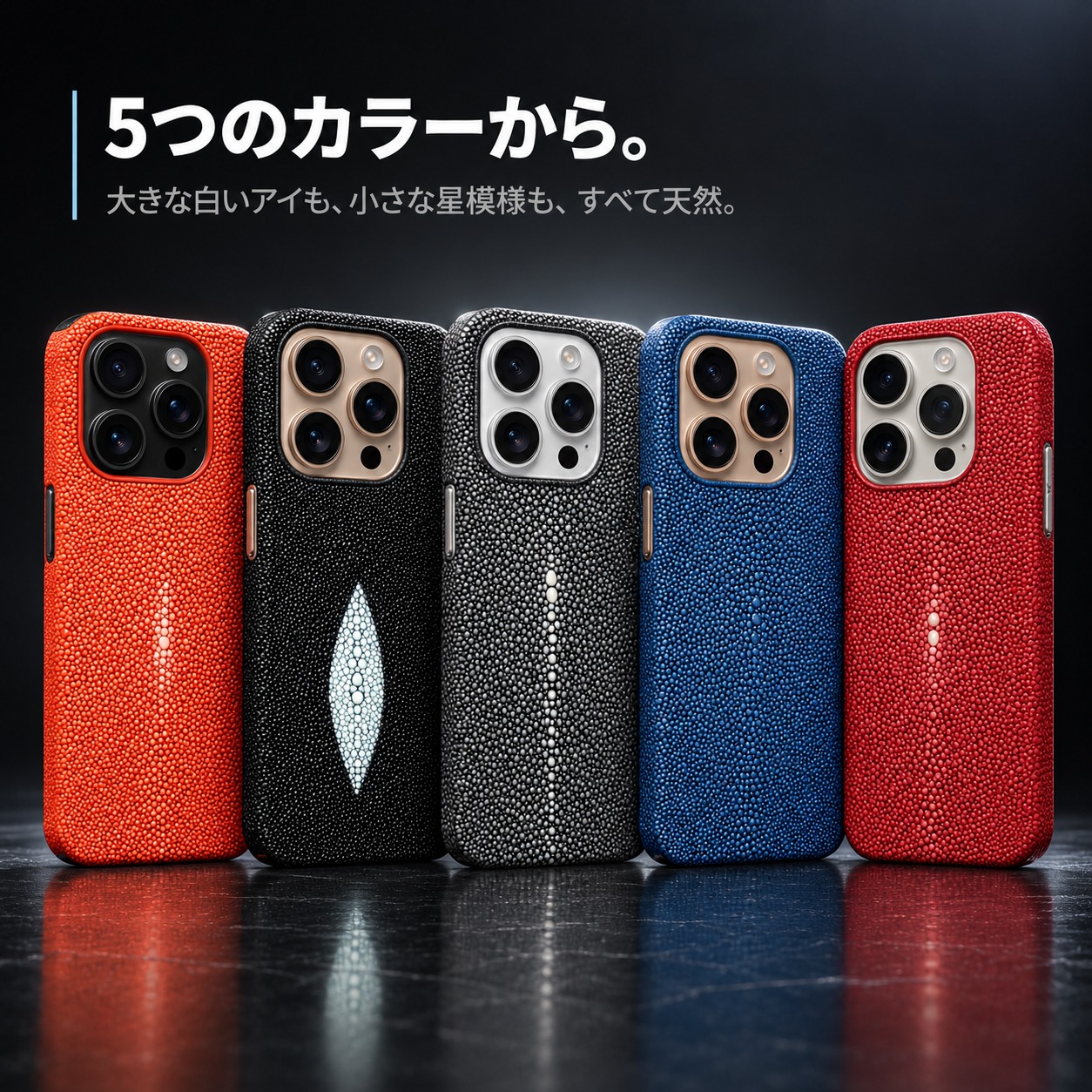 5つのカラーから。