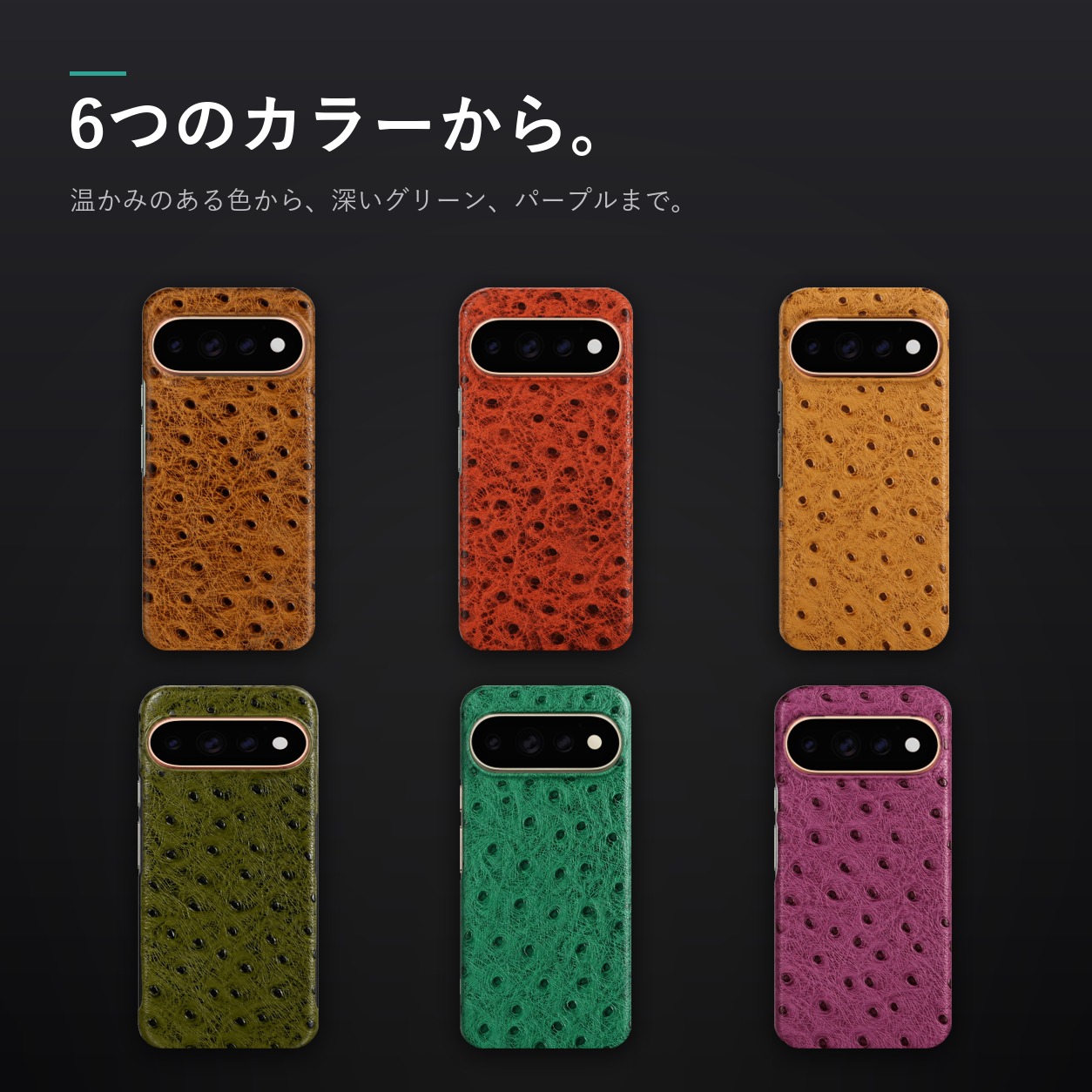 6色のカラーバリエーション