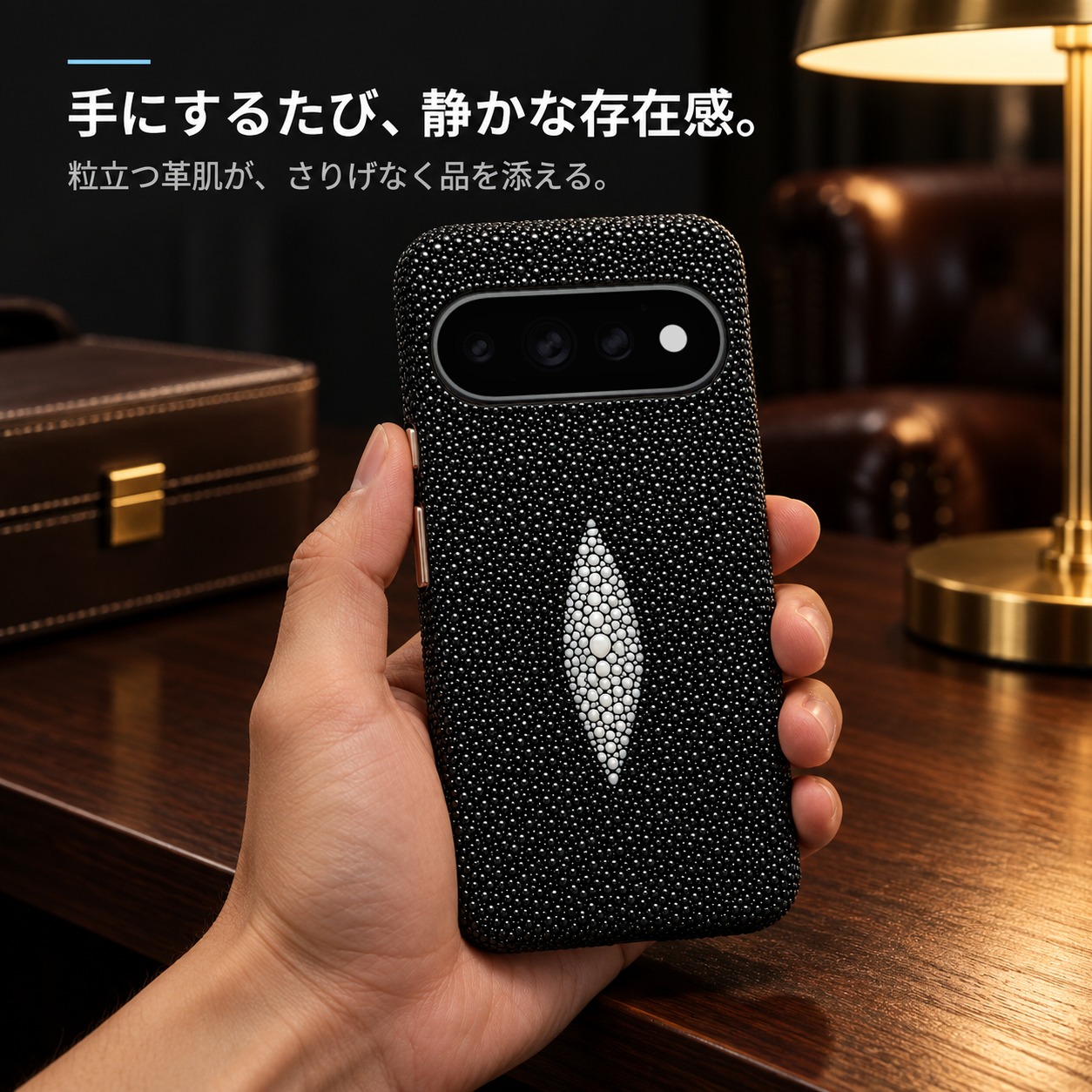スティングレイのケースを手にしたイメージ