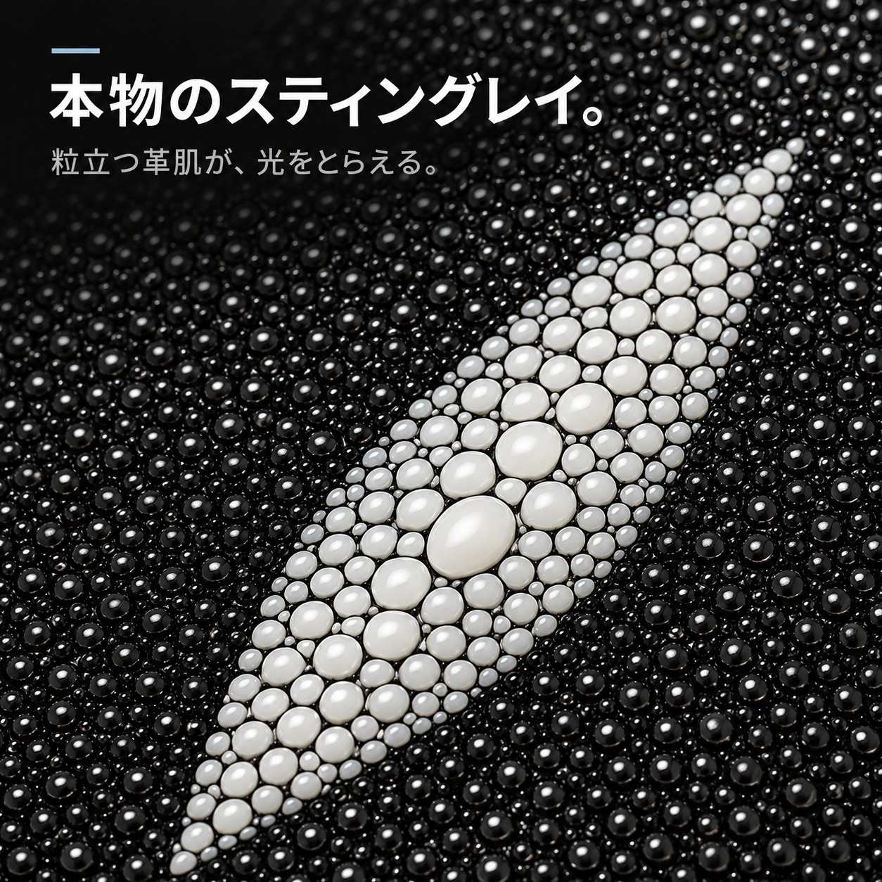 スティングレイ（エイ革）のクローズアップ