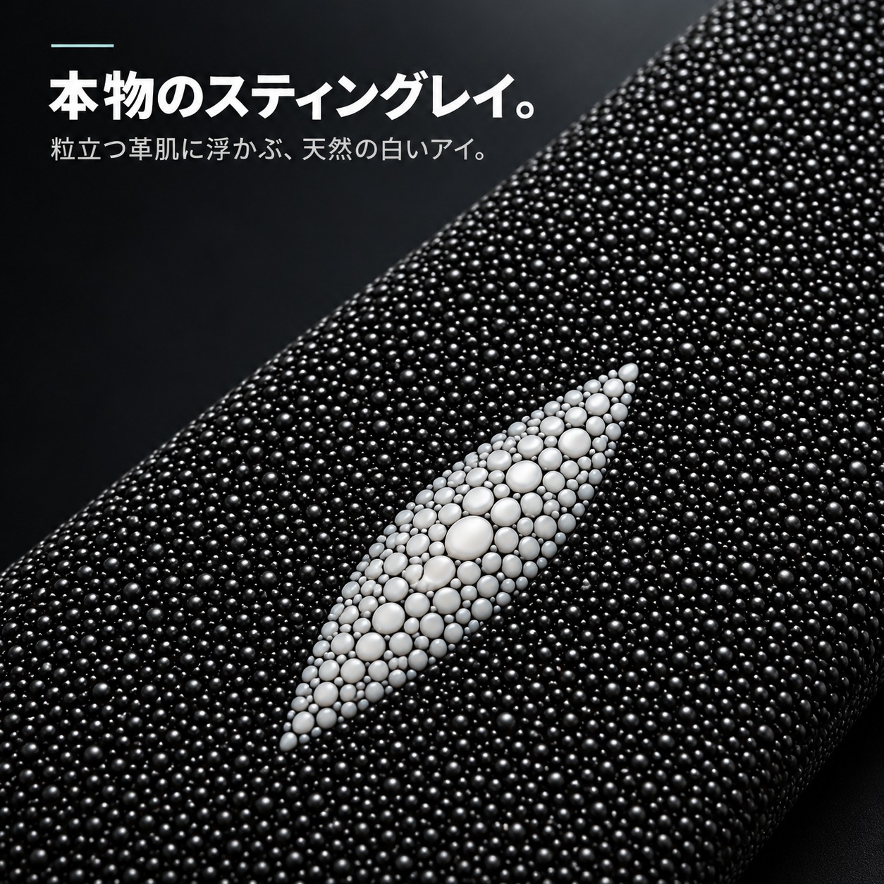 本物のスティングレイ。粒立つ革肌に浮かぶ天然の白いアイ